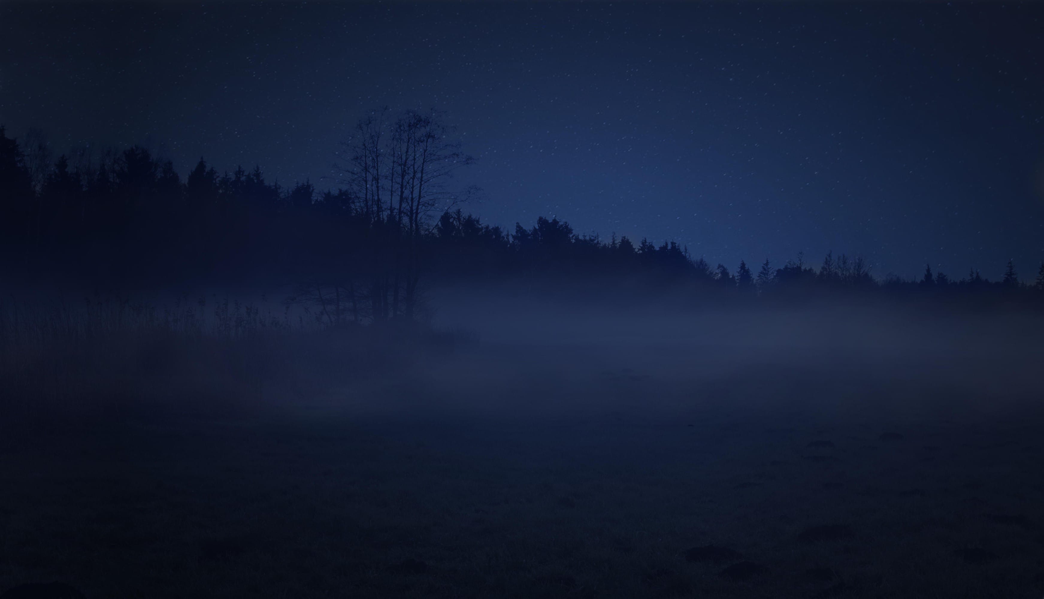 Nachts im Nebel – Landschaftsfotografie